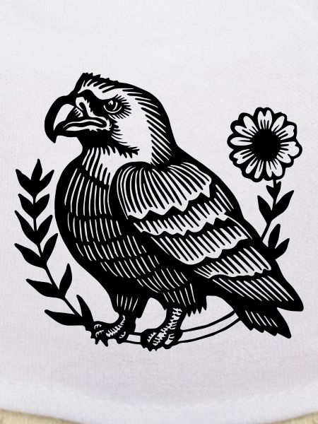 Eagle Eagle Head