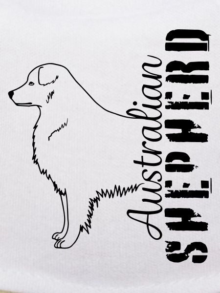 Aussies herding dog pet