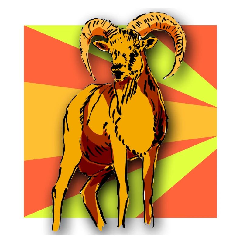 Widder Schafbock Bock Steinbock Schaf Natur Kinder