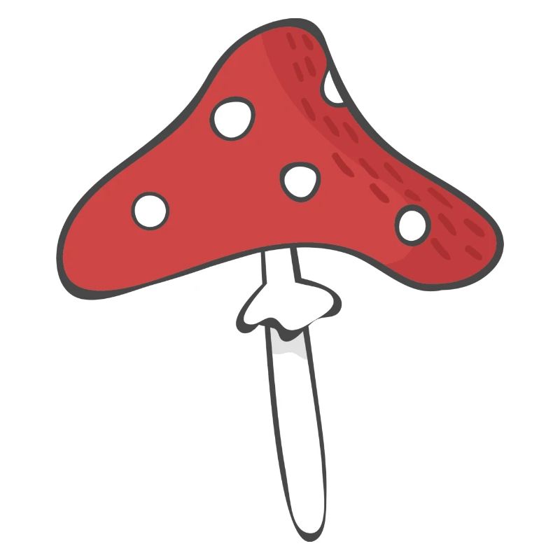 Champignon à mouches