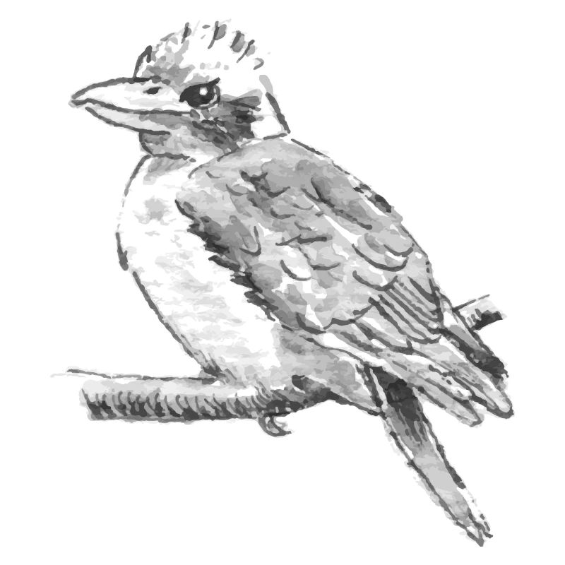 Vogel