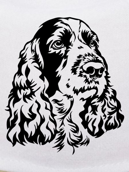 Englischer Springer Spaniel Kopf