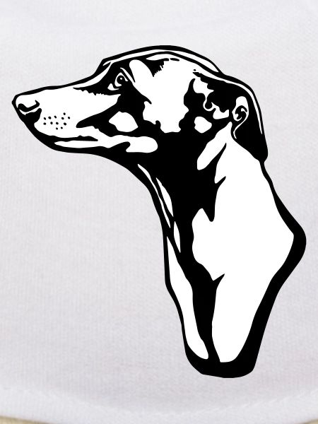 greyhound BACKGROUND
