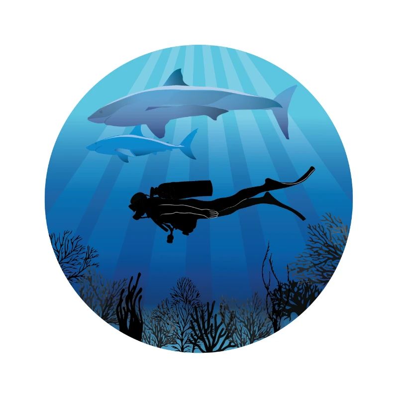 Plongeur plongeur plongeur de plongée de requin
