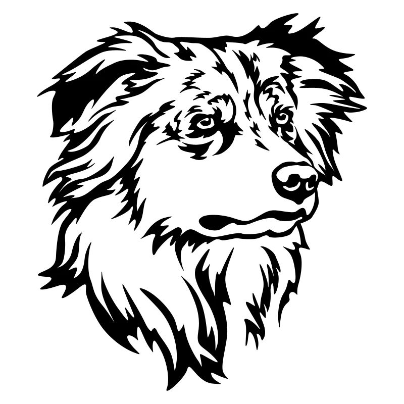 Australian Shepherd Kopf