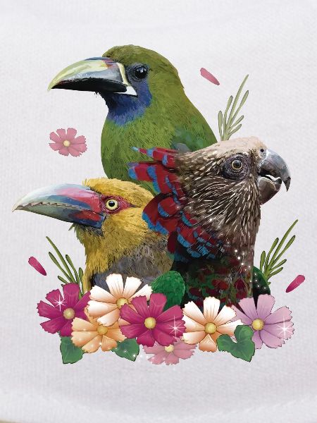 Toucans and parrot