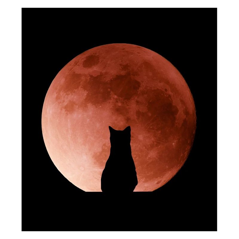 Katze, die den Mond bewundert