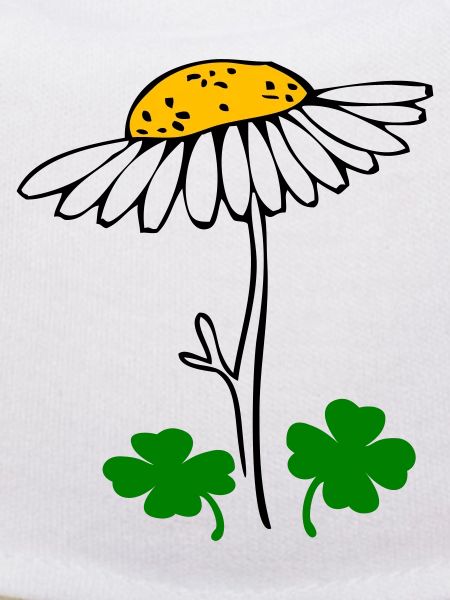Lucky clover, chamomile blossom