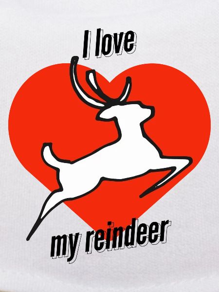 My reindeer