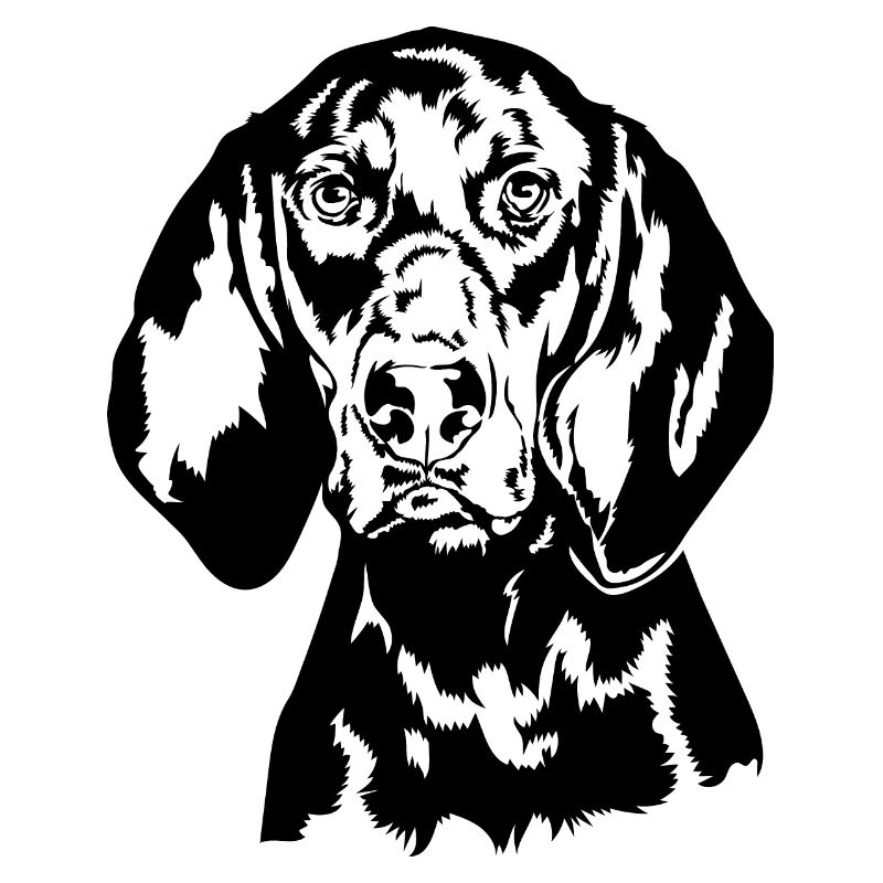 BLACK AND TAN COONHOUND Chiens de chasse Wilsigns