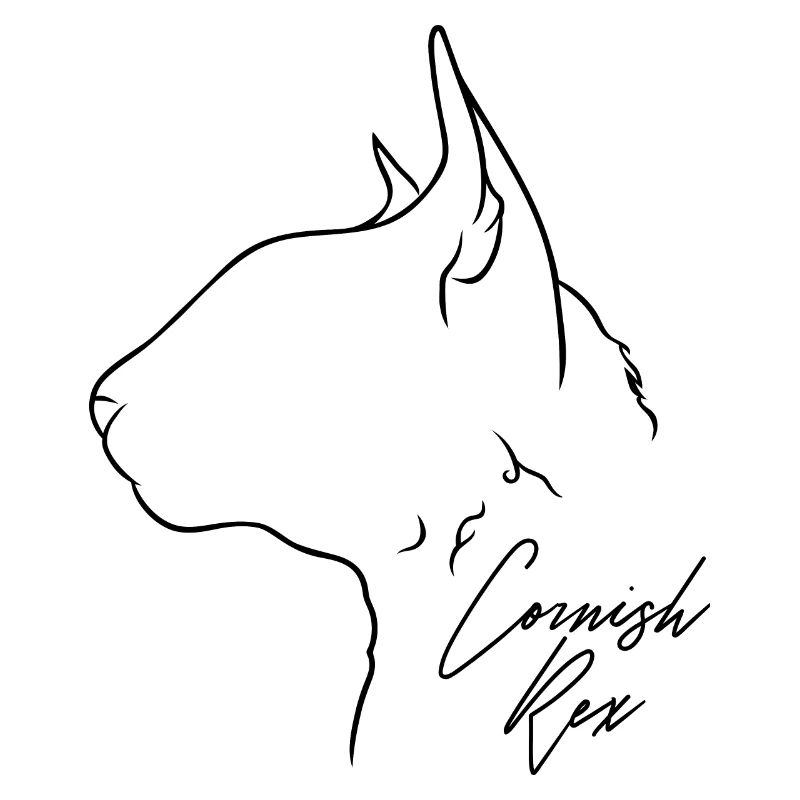 Cornish Rex Profil Katzen Katze Wilsigns