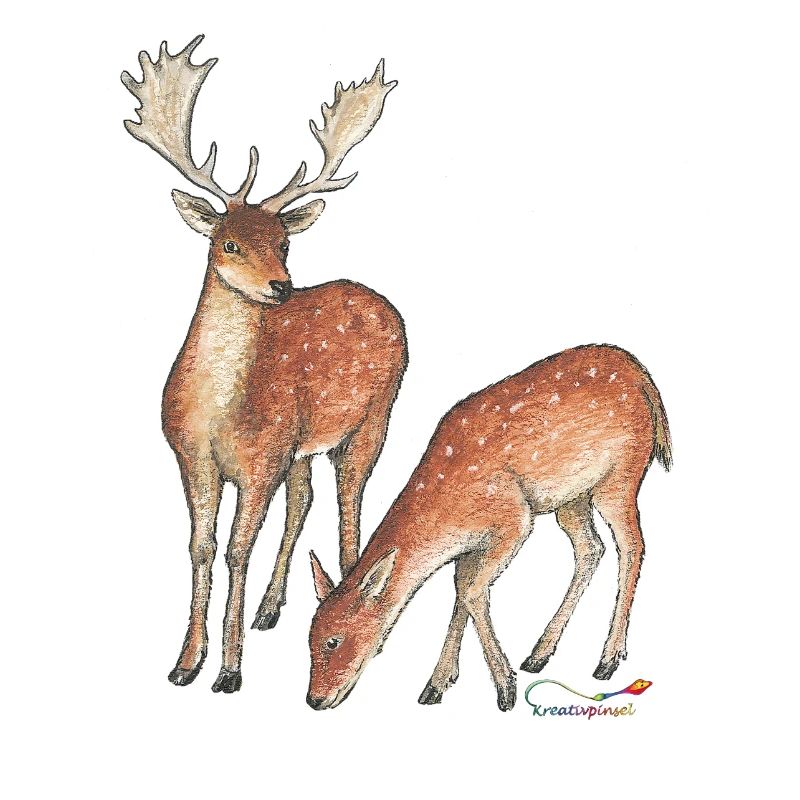 Fallow deer and doe