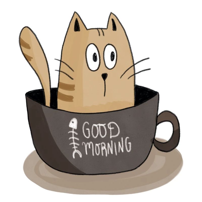 Morgenkatze