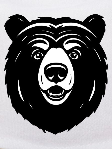 Lovely Curious Comic Bear