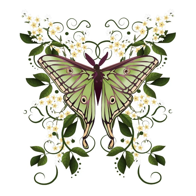 papillon papillon papillon papillon