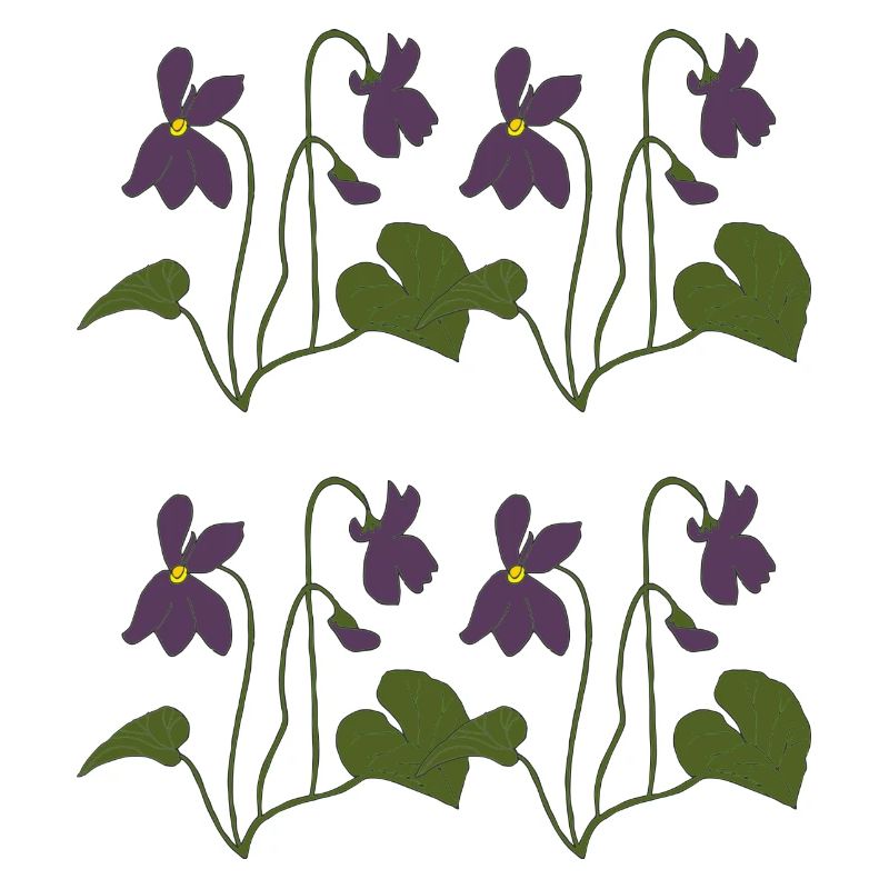 Violet 4 plis