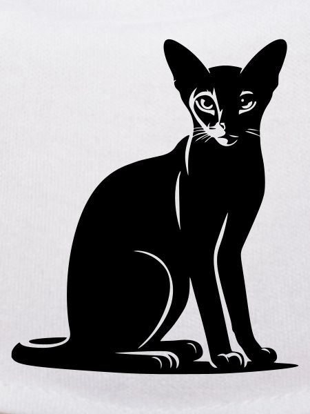 Abessiner Katze