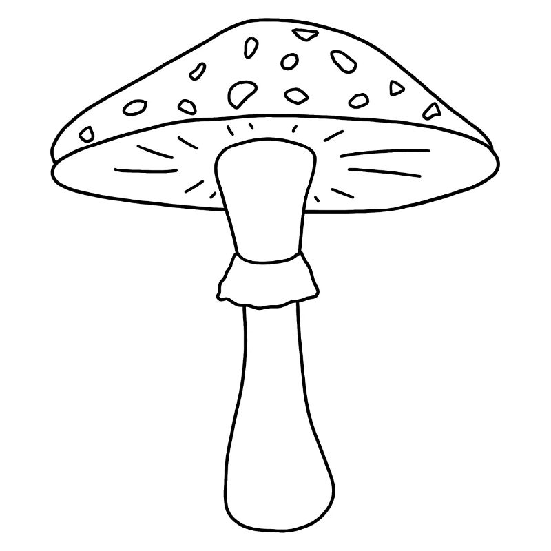 Champignon noir et blanc