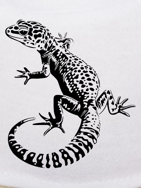 Léopardgecko