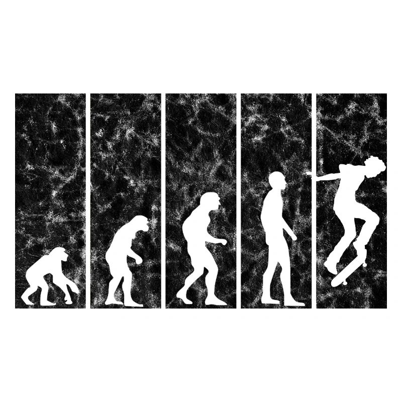 Evolution Skateboarder Skateboard Skater Skate