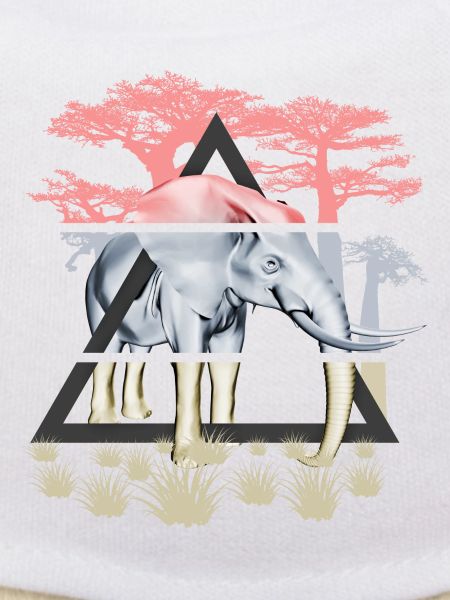 Savannah wise elephant