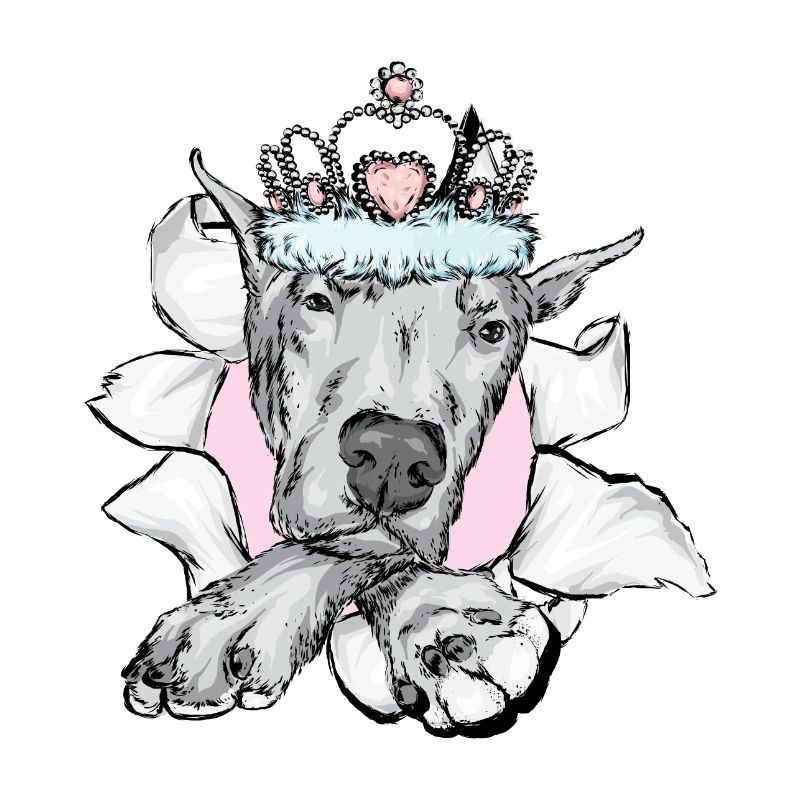 Great Dane, German Mastiff, Great Dane