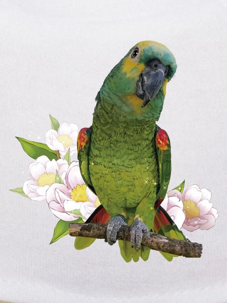The blue-fronted amazon