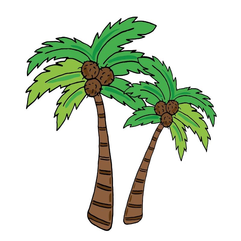 Palm tree