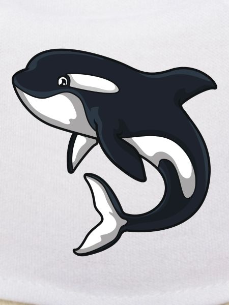 Baleine d'Orca