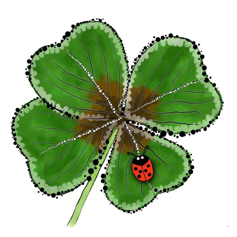 Glücksklee mit Glückskäfer