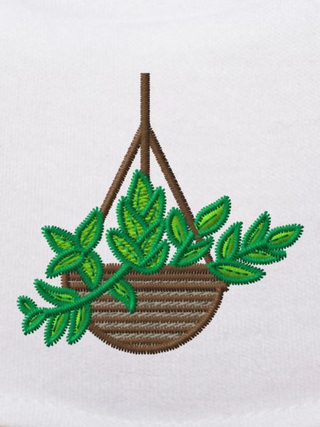 Indoor plant