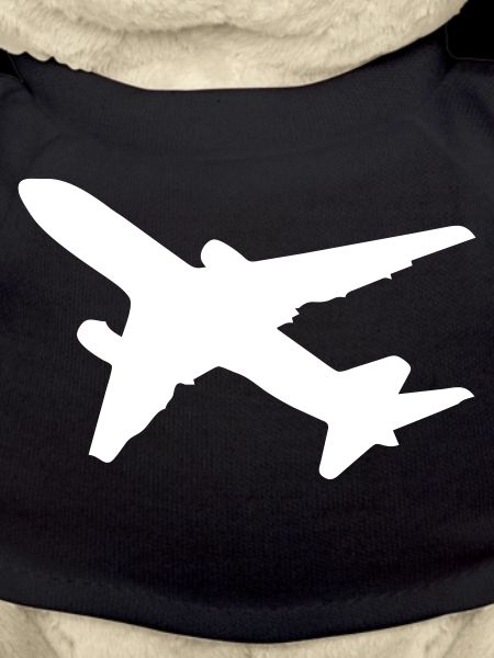 Aviator plane