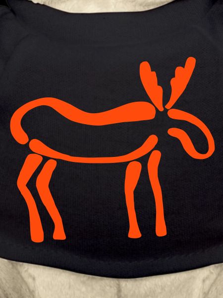 Moose