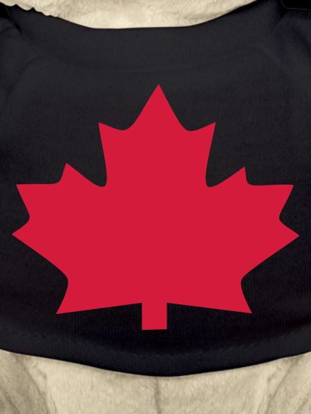ahorn - canada