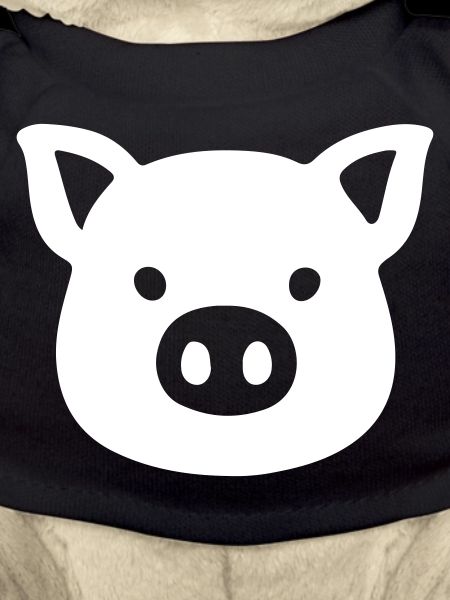Pig Head Sow