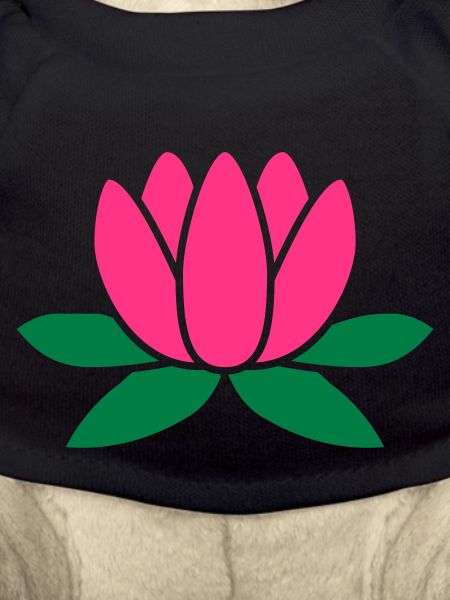 lotus flower