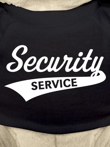 Security Service Lettering (Team)