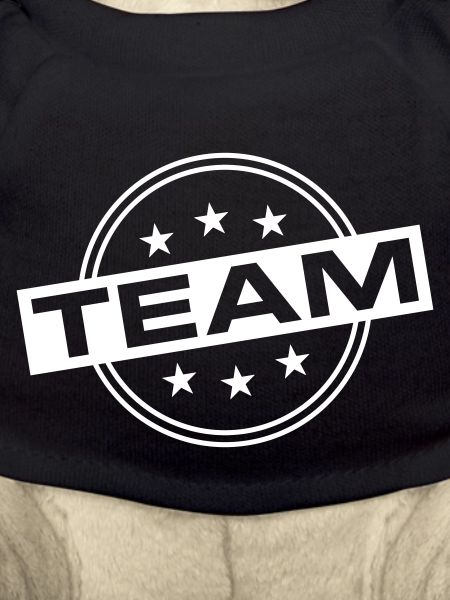Team