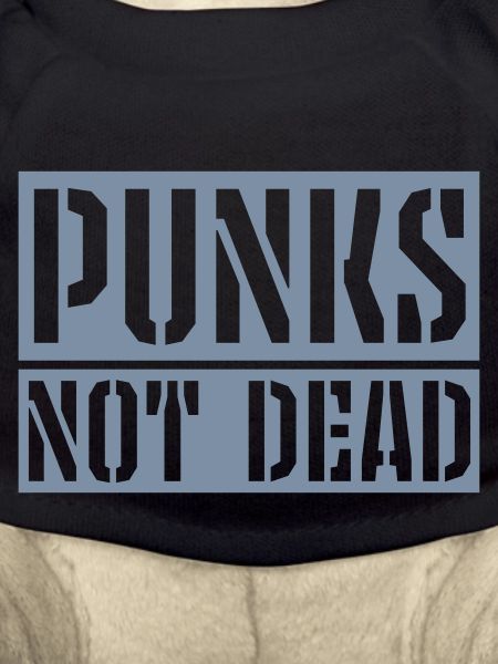 punks not dead quote
