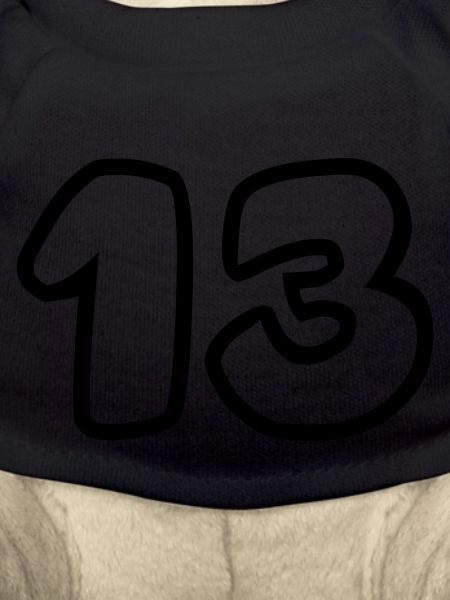 13
