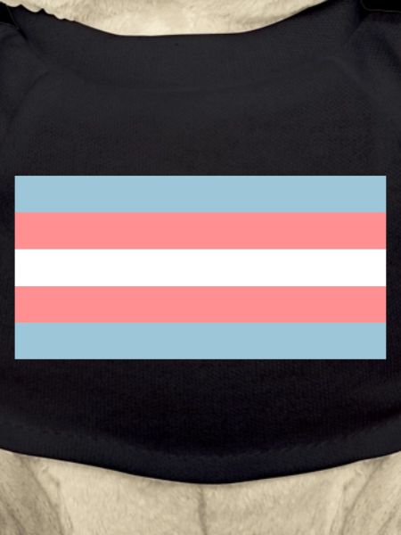 Trans flag
