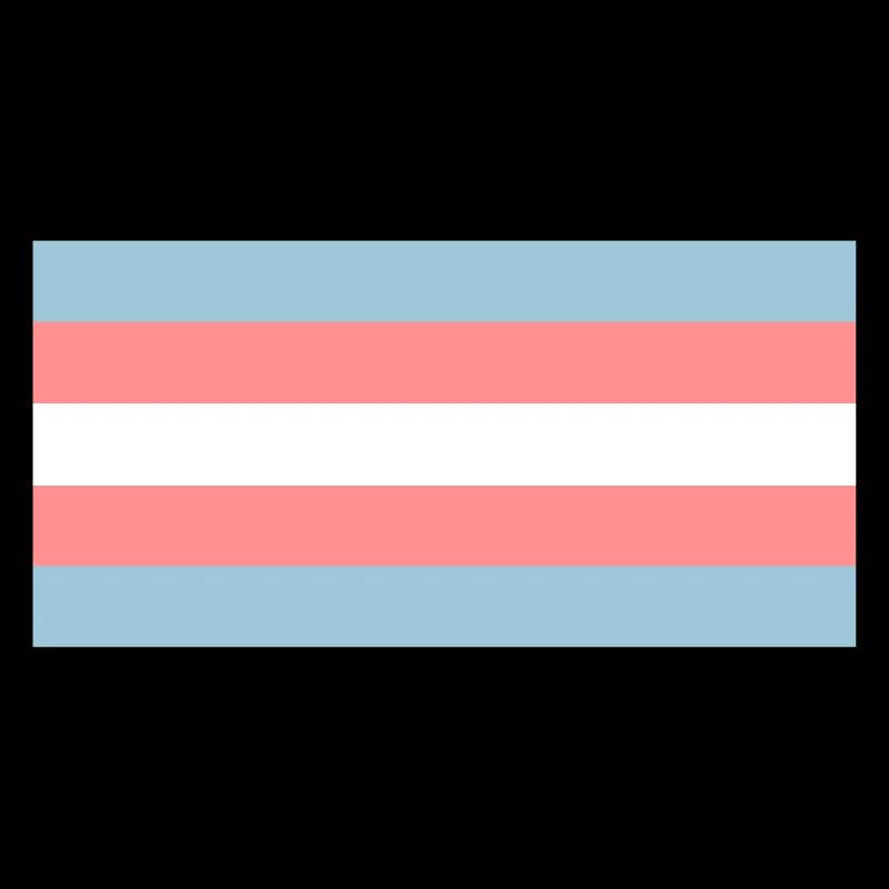 Trans Flag