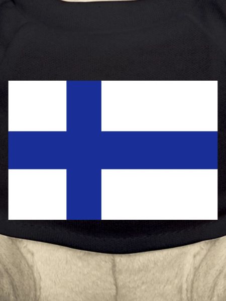 Drapeau de la Finlande