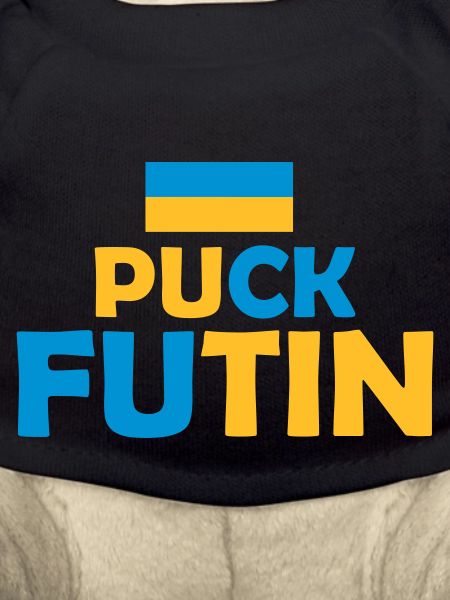 puck futin logo design