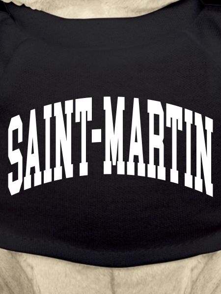 Saint-Martin