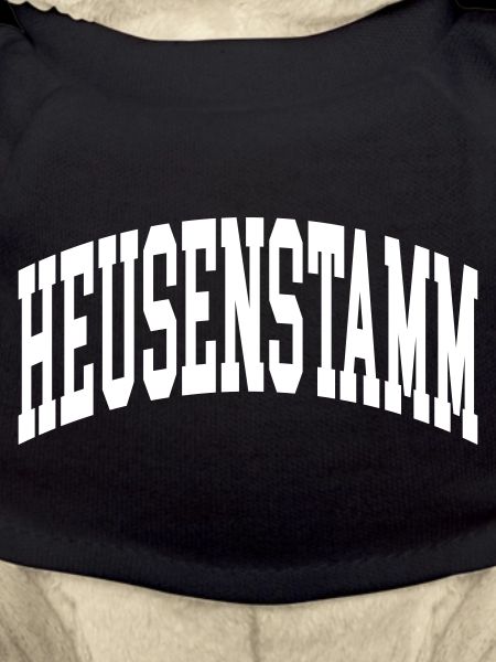 Heusenstamm