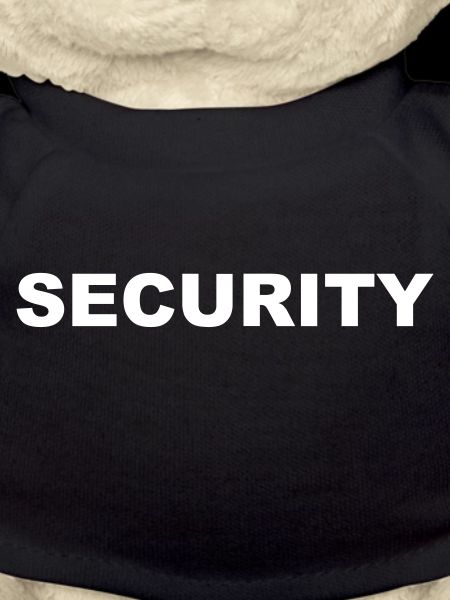 security standard