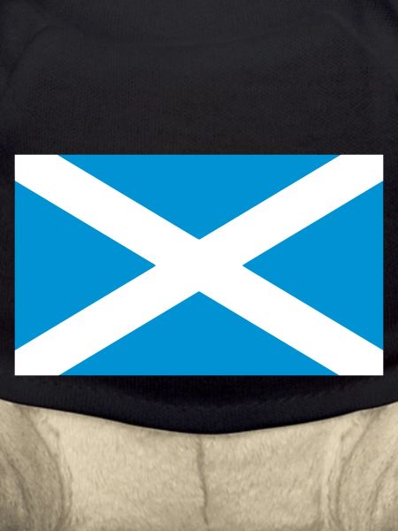 Scotland flag