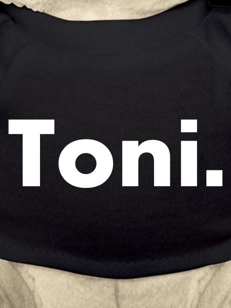 Toni - name - font