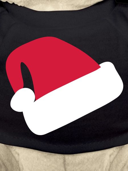 Santa Hat